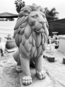IMG_4417